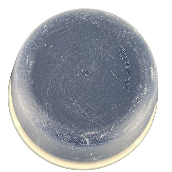 Tupperware Parmesan Romano Cheese Shaker Dry Rub Bottle Dispenser Cheese Storage - Picture 9 of 13